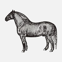 Horse sticker, black ink drawing vector, digitally enhanced from our own original copy of The Open Door to Independence (1915) by Thomas E. Hill.