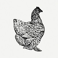 Chicken sticker, black ink drawing psd, digitally enhanced from our own original copy of The Open Door to Independence (1915) by Thomas E. Hill.
