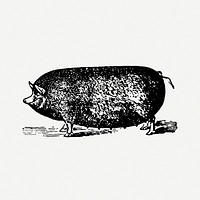 Pig collage element, black ink drawing psd, digitally enhanced from our own original copy of The Open Door to Independence (1915) by Thomas E. Hill.