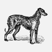 Deer Hound dog sticker, black ink drawing vector, digitally enhanced from our own original copy of The Open Door to Independence (1915) by Thomas E. Hill.