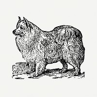 Pomeranian dog clipart, black ink drawing psd, digitally enhanced from our own original copy of The Open Door to Independence (1915) by Thomas E. Hill.
