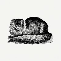 Cat sticker, black ink drawing psd, digitally enhanced from our own original copy of The Open Door to Independence (1915) by Thomas E. Hill.