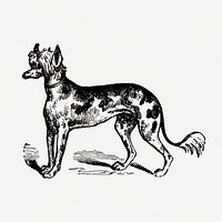 Chinese Crested dog clipart, black ink drawing psd, digitally enhanced from our own original copy of The Open Door to Independence (1915) by Thomas E. Hill.