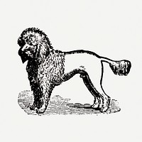 Poodle dog sticker, black ink drawing psd, digitally enhanced from our own original copy of The Open Door to Independence (1915) by Thomas E. Hill.