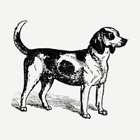 Beagle dog sticker, black ink drawing psd, digitally enhanced from our own original copy of The Open Door to Independence (1915) by Thomas E. Hill.