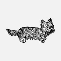 Prick Ear Skye Terrier dog sticker, black ink drawing vector, digitally enhanced from our own original copy of The Open Door to Independence (1915) by Thomas E. Hill.