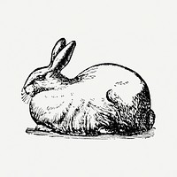 Rabbit sticker, black ink drawing psd, digitally enhanced from our own original copy of The Open Door to Independence (1915) by Thomas E. Hill.