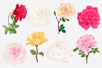 Rose illustrations, vintage Japanese art painting vector set