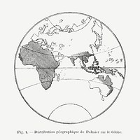 Vintage globe drawing. Digitally enhanced from our own original copy of Les Palmiers Histoire Iconographique (1878), illustrated by Oswald de Kerchove de Denterghem 