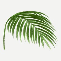 Palm leaf sticker, aesthetic botanical illustration in green, vector collage element