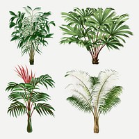 Palm tree clip art, aesthetic botanical illustration, vector collage element set