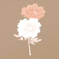 Japanese peony flower clip art, floral clipart