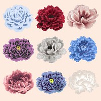 Aesthetic peony flower sticker, floral clipart vector set