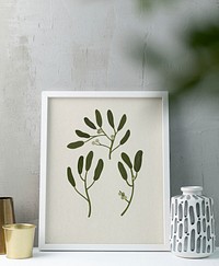 Botanical frame, minimal room interior design