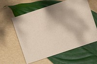 Blank name card and green leaf