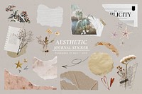 Aesthetic journal sticker, dried flower and ripped paper collage art set vector