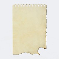 Ripped note paper, beige blank design space vector