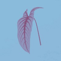 Tropical long leaf graphic element, retro aesthetic glitch halftone design vector