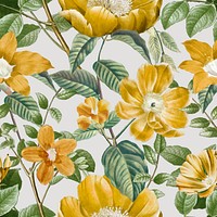 Flower seamless pattern, yellow botanical background vector, remixed from original artworks by Pierre Joseph Redout&eacute;