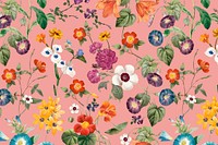 Pink botanical pattern background, natural design vector, remixed from original artworks by Pierre Joseph Redout&eacute;