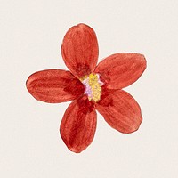 Red flower sticker, vintage botanical design psd, remixed from original artworks by Pierre Joseph Redout&eacute;