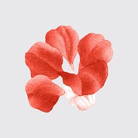 Flower sticker, vintage red botanical design vector, remixed from original artworks by Pierre Joseph Redout&eacute;