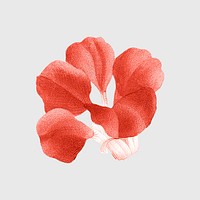 Flower sticker, vintage red botanical design psd, remixed from original artworks by Pierre Joseph Redout&eacute;