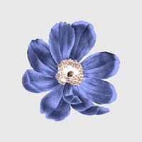 Flower sticker, vintage purple botanical design psd, remixed from original artworks by Pierre Joseph Redout&eacute;