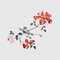 Vintage flower sticker, red botanical design vector, remixed from original artworks by Pierre Joseph Redouté