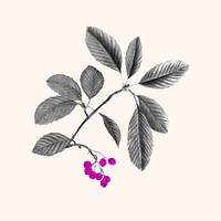 Retro leaf sticker, vintage botanical design vector, remixed from original artworks by Pierre Joseph Redouté