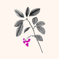 Retro leaf sticker, vintage botanical design vector, remixed from original artworks by Pierre Joseph Redouté