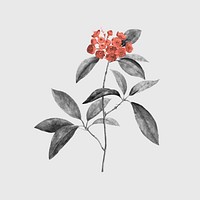 Retro floral sticker, vintage red botanical design vector, remixed from original artworks by Pierre Joseph Redouté