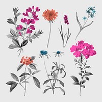 Vintage flowers stickers, retro botanical design set vector, remixed from original artworks by Pierre Joseph Redouté