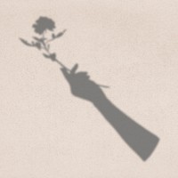 Flower shadow, female hand illustration 
