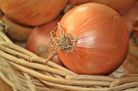 Free onion close up in the basket photo, public domain vegetable CC0 image.