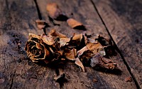 Free dry leaves on wooden board image, public domain food CC0 photo.