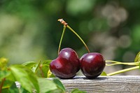 Free cherries image, public domain fruit CC0 photo.