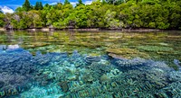 Blue lagoon, beach, ocean scenery photo, free public domain CC0 image.