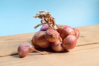 Free little red onions image, public domain food CC0 photo.