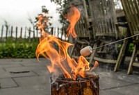 Free marshmallows on bonfire photo, public domain CC0 image.