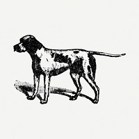 Pointer dog clipart, black ink drawing psd, digitally enhanced from our own original copy of The Open Door to Independence (1915) by Thomas E. Hill.
