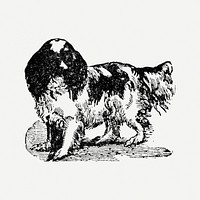 Blenheim dog clipart, black ink drawing psd, digitally enhanced from our own original copy of The Open Door to Independence (1915) by Thomas E. Hill.