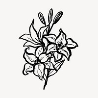 Lilies collage sticker, botanical black line art, simple illustration vector