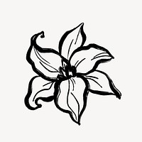 Simple flower sticker, lily line drawing graphic design psd