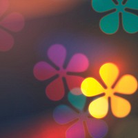 Colorful flower bokeh background for social media post vector