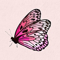 Pink butterfly watercolor illustration vector