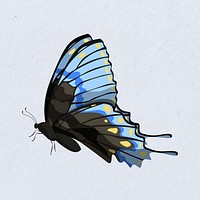 Blue butterfly sticker watercolor illustration psd