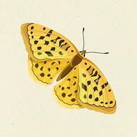 Yellow butterfly sticker watercolor illustration psd