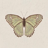 Green butterfly, watercolor collage element psd