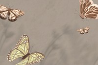 Earth tone butterfly background, beautiful watercolor design psd